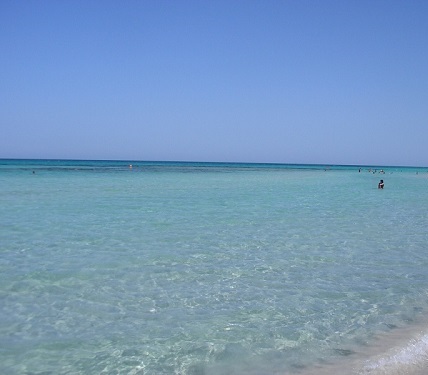 Location vacances Appart. 1 pice - Tunisie