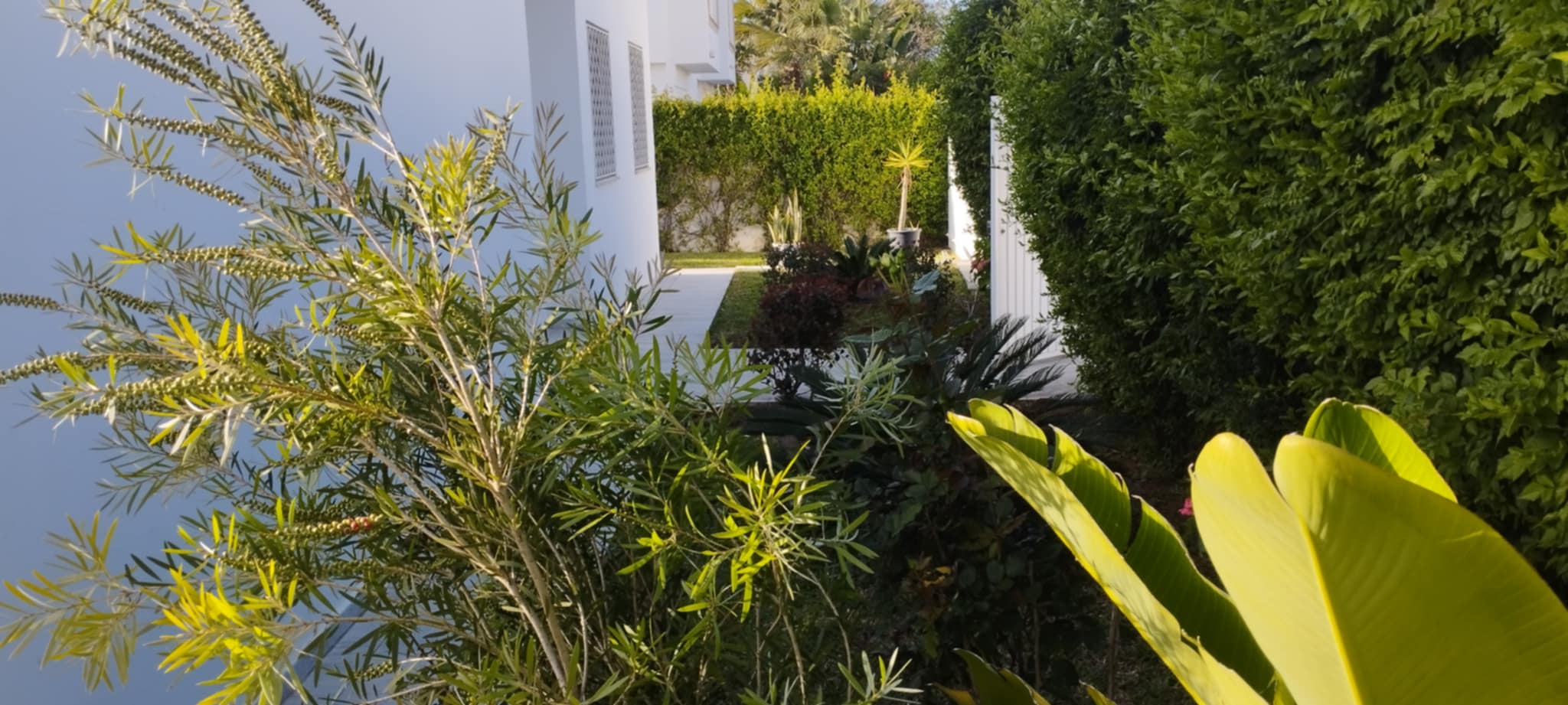 Location vacances Maisons - Tunisie