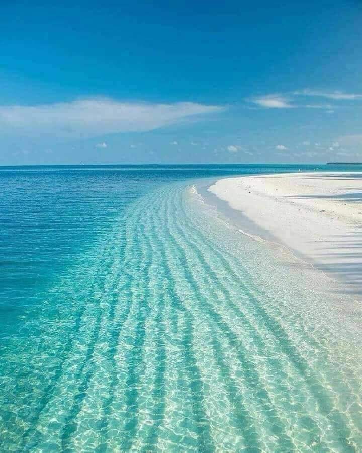 Kelibia Dar Allouche Location vacances Maisons Jolie petite villa