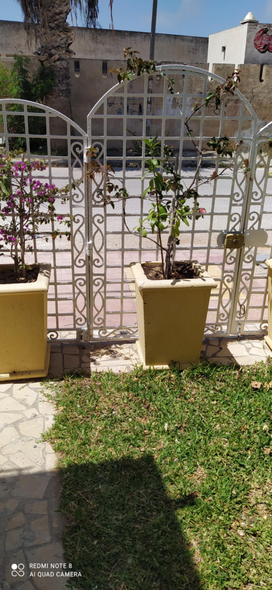Location vacances Maisons - Tunisie