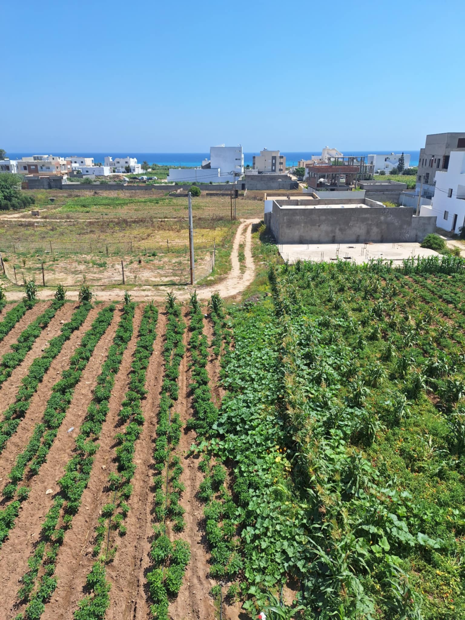 Location vacances Appart. 2 pices - Tunisie