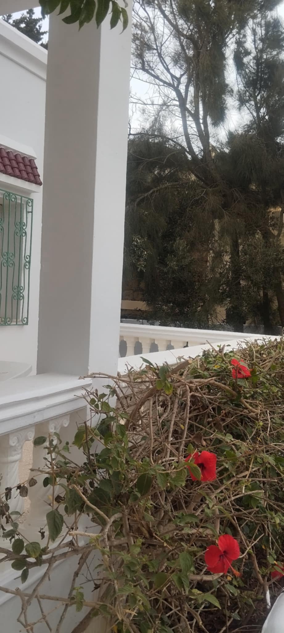 Location vacances Maisons - Tunisie