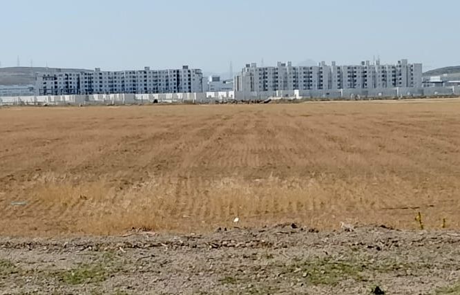 Mornaguia El Fejja Terrain Terrain nu Terrain el fejja prix unique