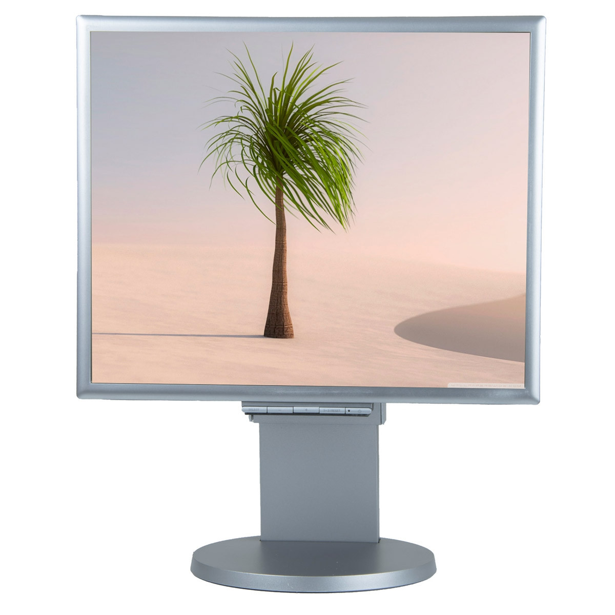 Sahline Sahline Moniteurs Autre Ecran de ordinateur bureau  nec