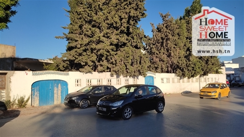 Carthage Cartage Byrsa Terrain Terrain nu Terrain frida a carthage byrsa