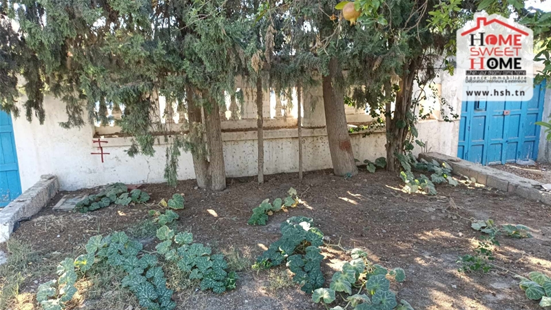 Carthage Cartage Byrsa Terrain Terrain nu Terrain frida a carthage byrsa