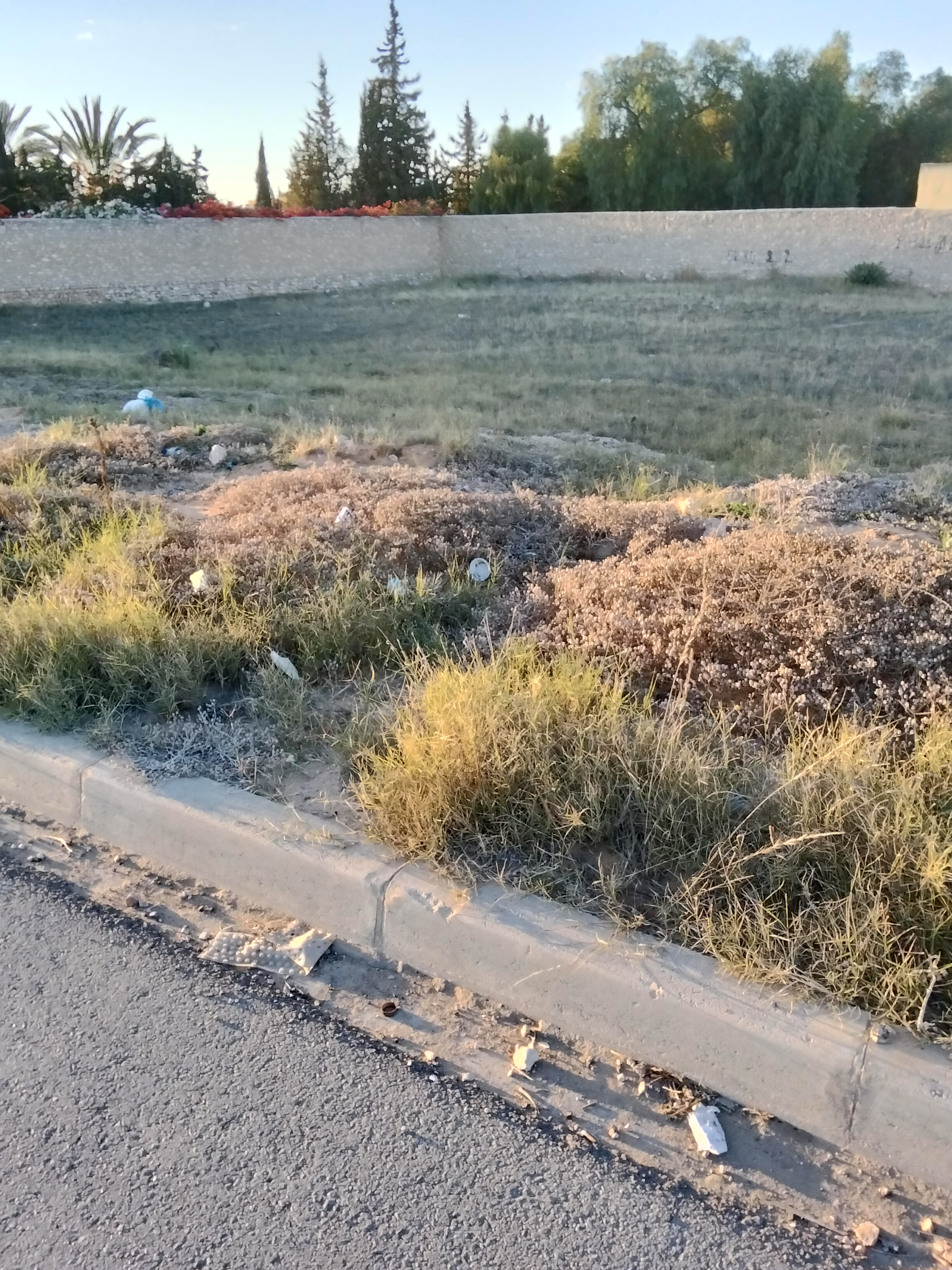 Sfax Sud Merkez Aloui Terrain Terrain nu Terrain el ain km 8 sfax