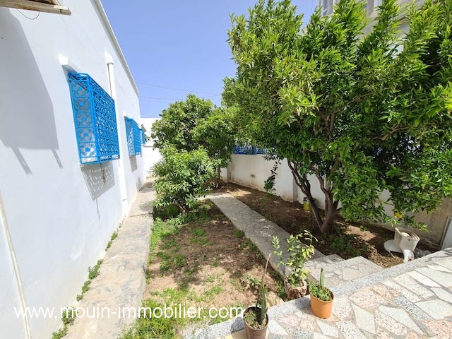 Hammamet&nbsp;Hammamet&nbsp;Location&nbsp;Maisons&nbsp;Maison bella al2802 hammamet
