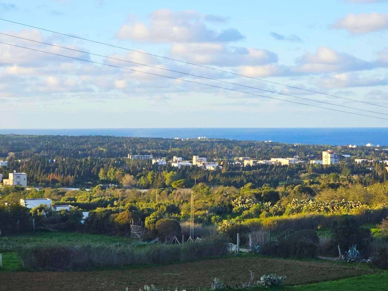 Ras Jebel&nbsp;Sounine&nbsp;Terrain&nbsp;Terrain nu&nbsp;Terrain 970 m2 � sounine vue mer nature