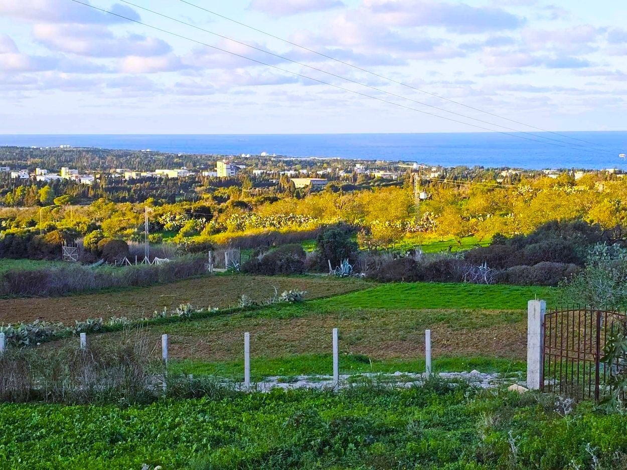 Ras Jebel&nbsp;Rafraf&nbsp;Terrain&nbsp;Terrain nu&nbsp;Terrain 972 m2 � rafraf sounine