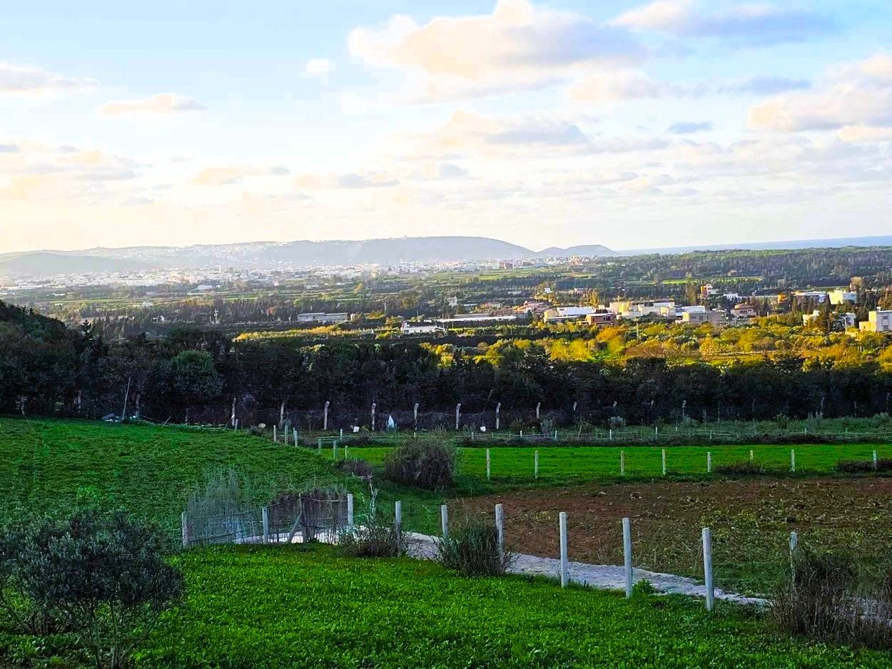 Ras Jebel&nbsp;Rafraf&nbsp;Terrain&nbsp;Terrain nu&nbsp;Terrain 972 m2 � rafraf sounine