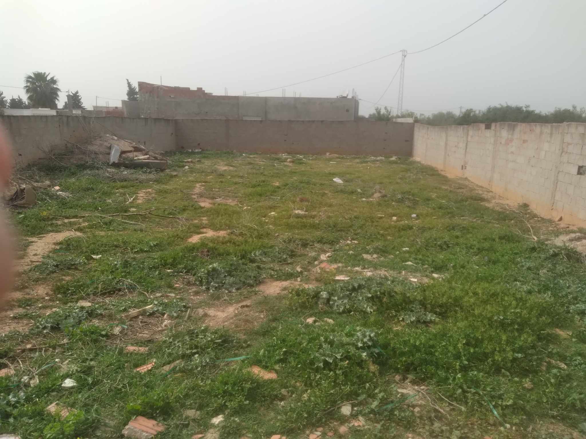 Raoued&nbsp;Borj Touil&nbsp;Terrain&nbsp;Terrain nu&nbsp;Bonne occasion
