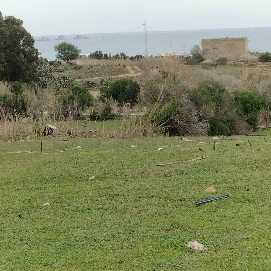Kelibia Dar Allouche Terrain Terrain agricole Terrain agricole prs de la mer