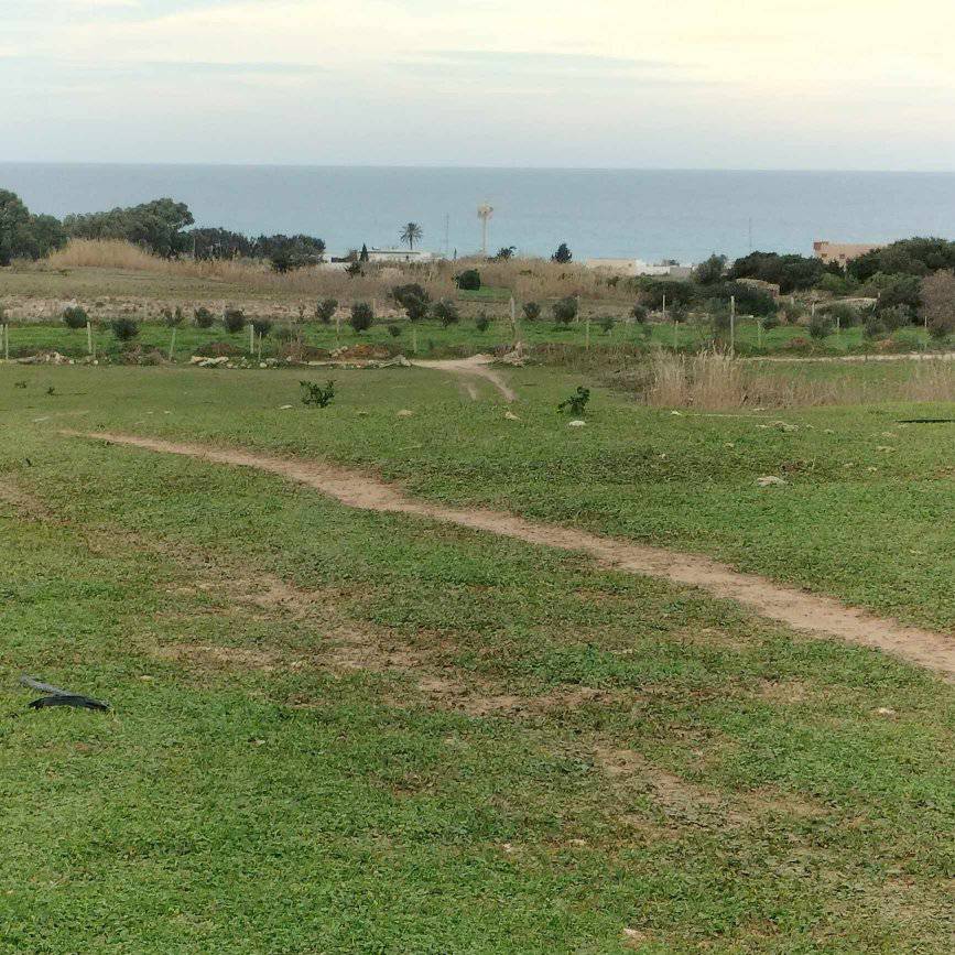 Kelibia Dar Allouche Terrain Terrain agricole Terrain agricole prs de la mer
