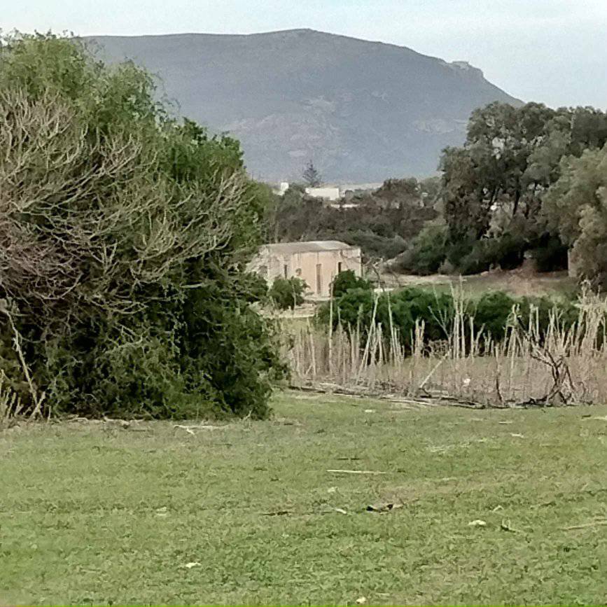 Kelibia Dar Allouche Terrain Terrain agricole Terrain agricole prs de la mer