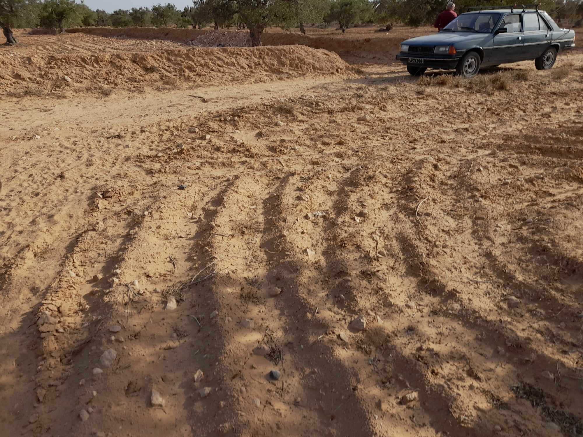 Djerba - Midoun&nbsp;El May&nbsp;Pi�ces D�tach�es&nbsp;Optiques et Phares&nbsp;Clientant de voiture peugeot 305 nouveau mod�le