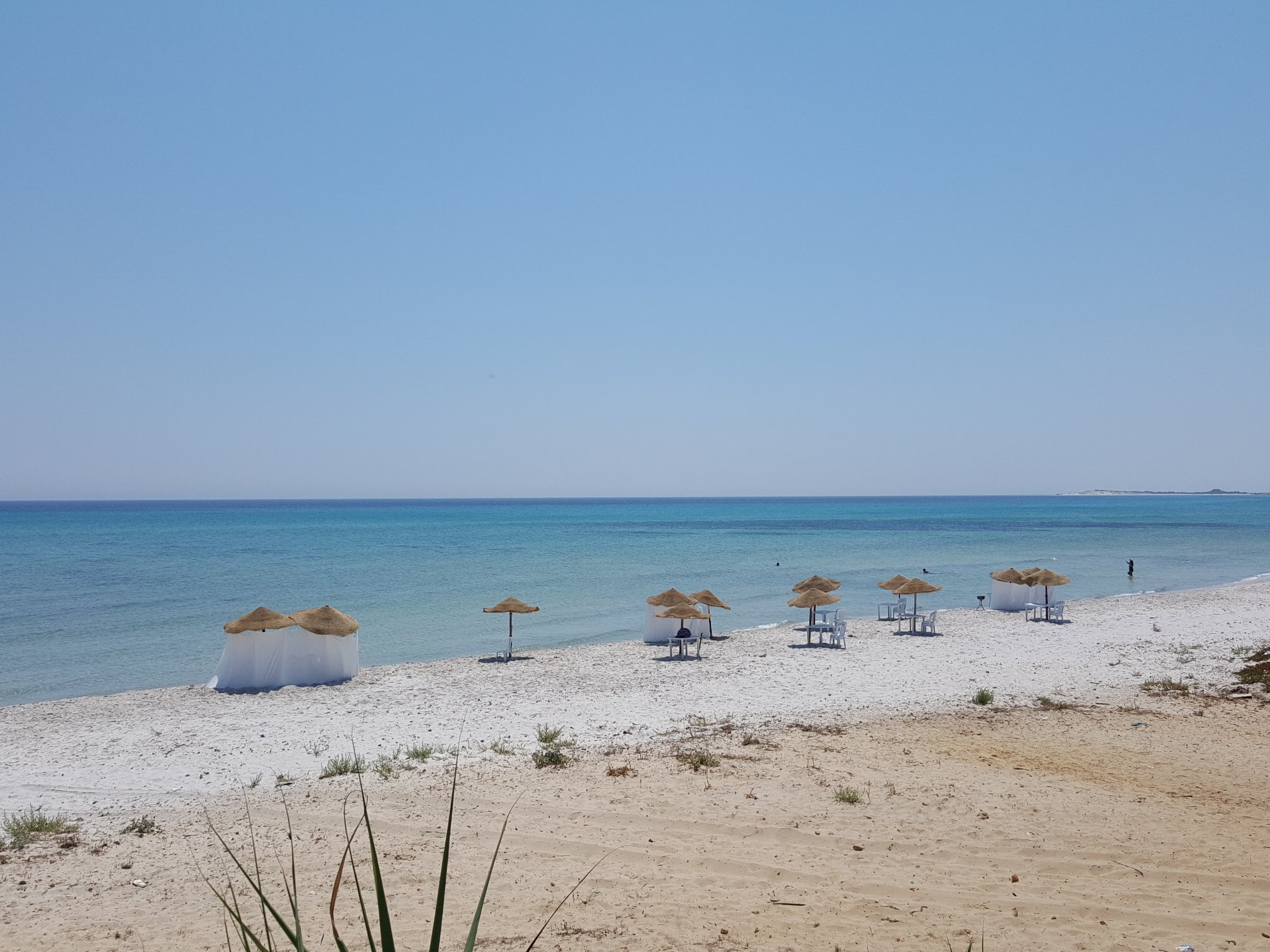 El Haouaria El Haouaria Terrain Terrain agricole Opportunit inoubliable de 1 hectare