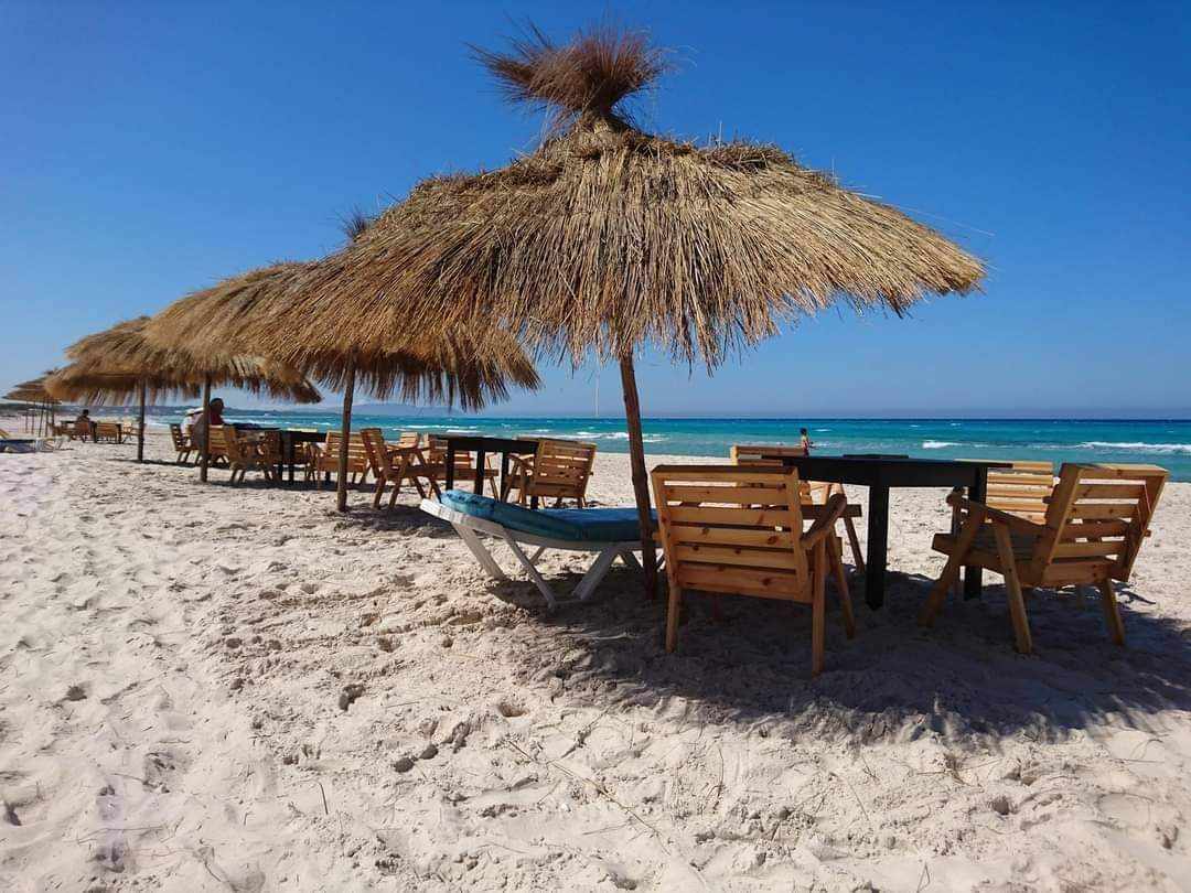 Hammam El Ghezaz Hammam El Ghezaz Terrain Terrain agricole Offre  de terrain au bord de la mer