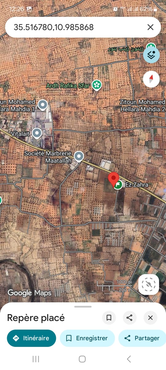 Mahdia&nbsp;Mahdia&nbsp;Terrain&nbsp;Terrain agricole&nbsp;Deux lots de terrain agricole