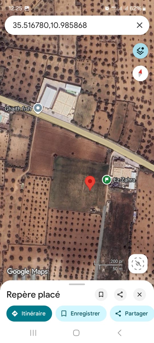 Mahdia&nbsp;Mahdia&nbsp;Terrain&nbsp;Terrain agricole&nbsp;Deux lots de terrain agricole