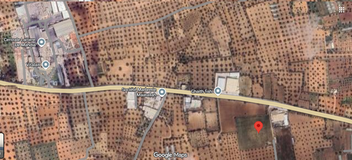 Mahdia&nbsp;Mahdia&nbsp;Terrain&nbsp;Terrain agricole&nbsp;Deux lots de terrain agricole