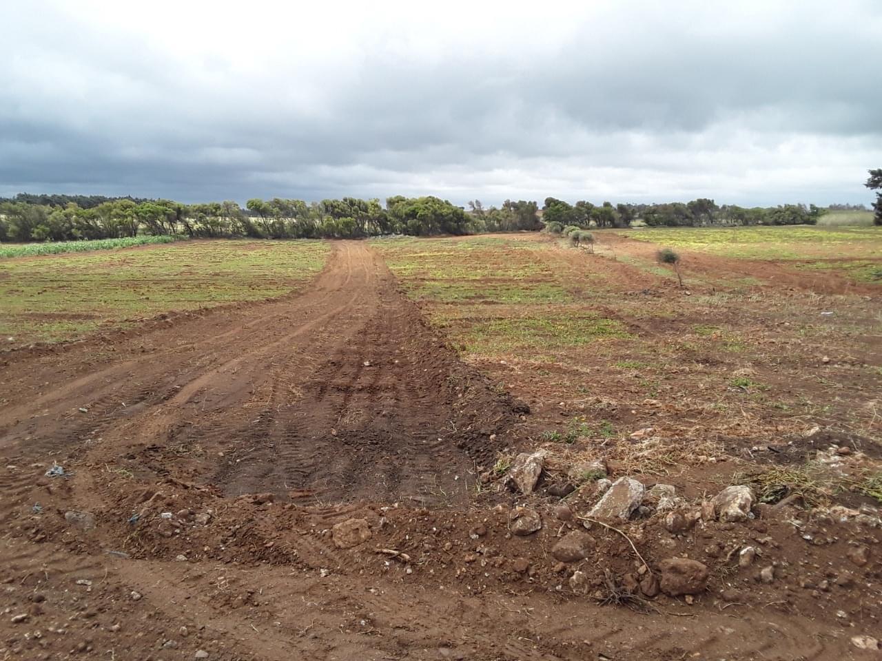 El Haouaria&nbsp;El Haouaria&nbsp;Terrain&nbsp;Terrain nu&nbsp;Des terrains � elhaouaria chtt kebli