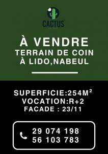 Nabeul&nbsp;Nabeul&nbsp;Vente&nbsp;Surfaces&nbsp;  terrain de coin de 254m  ref664a