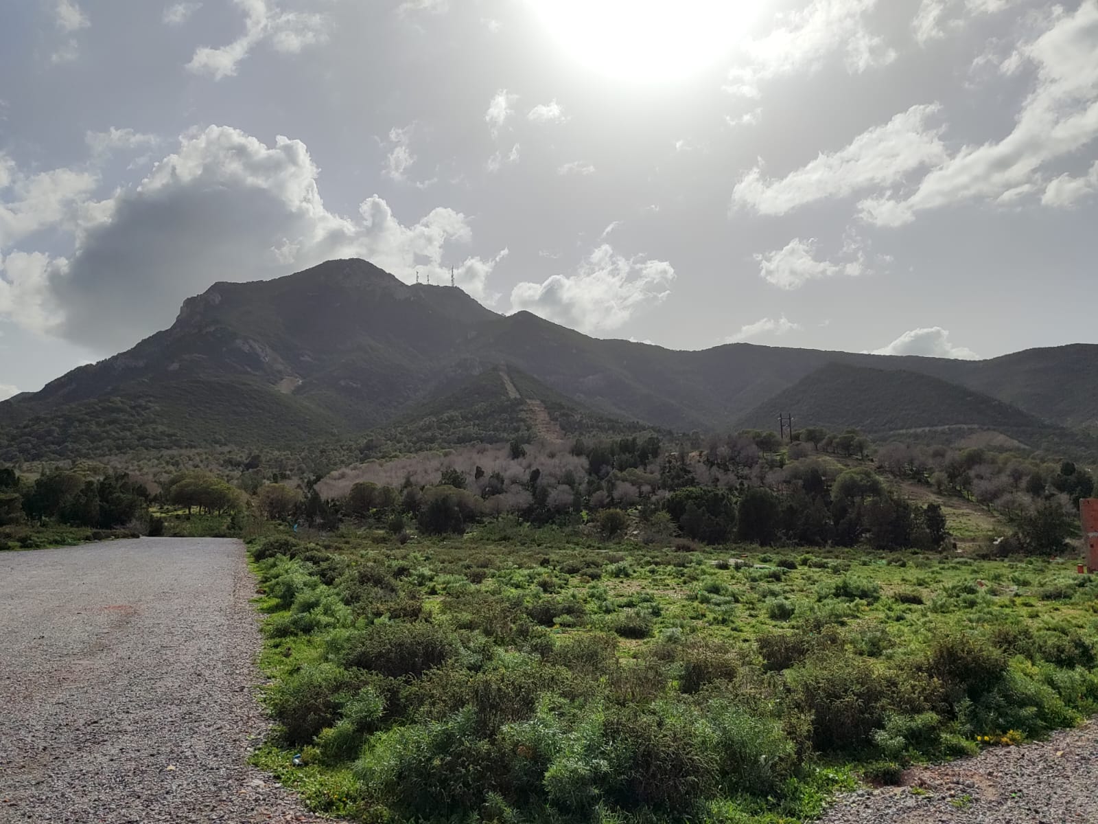 Hammam Lif&nbsp;Bou Kornine&nbsp;Vente&nbsp;Surfaces&nbsp;250 mc opportunit� a saisir