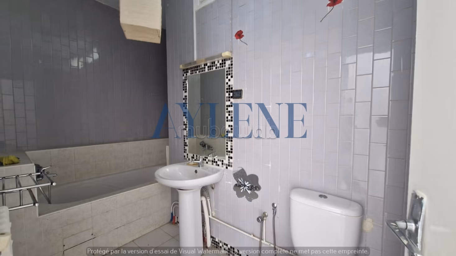 La Marsa&nbsp;Marsa Erriadh&nbsp;Location&nbsp;Appart. 3 pi�ces&nbsp;Une magnifique villa s3 pieds dans l'eau