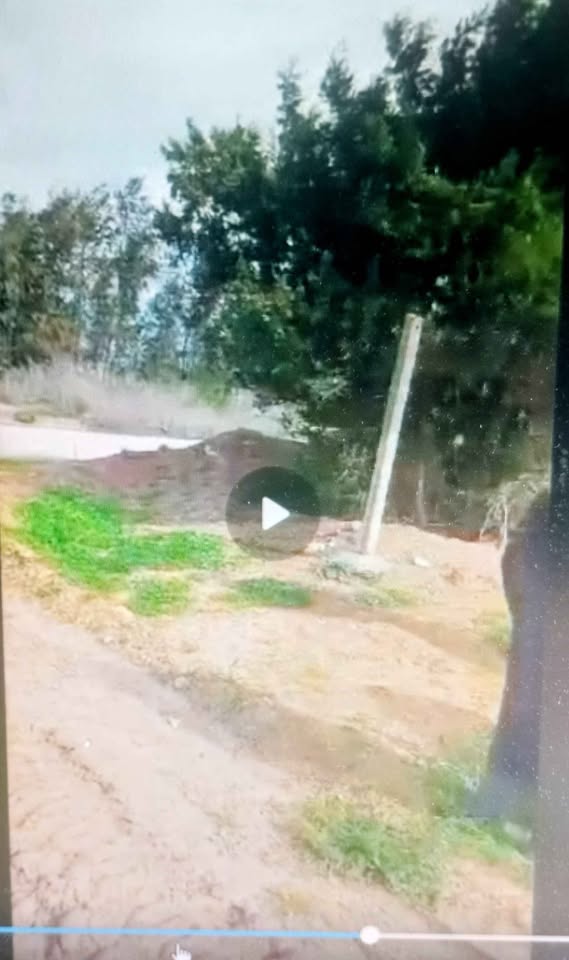 El Aroussa&nbsp;El Aroussa&nbsp;Terrain&nbsp;Terrain agricole&nbsp;Bon terrainsiliana