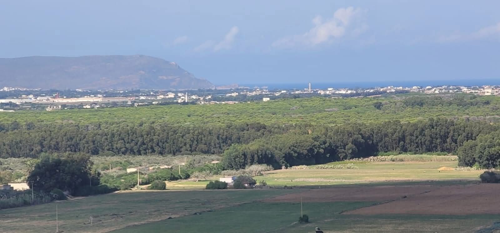 Kelibia&nbsp;Azmour&nbsp;Terrain&nbsp;Terrain agricole&nbsp;Terrain  dans un emplacement chic