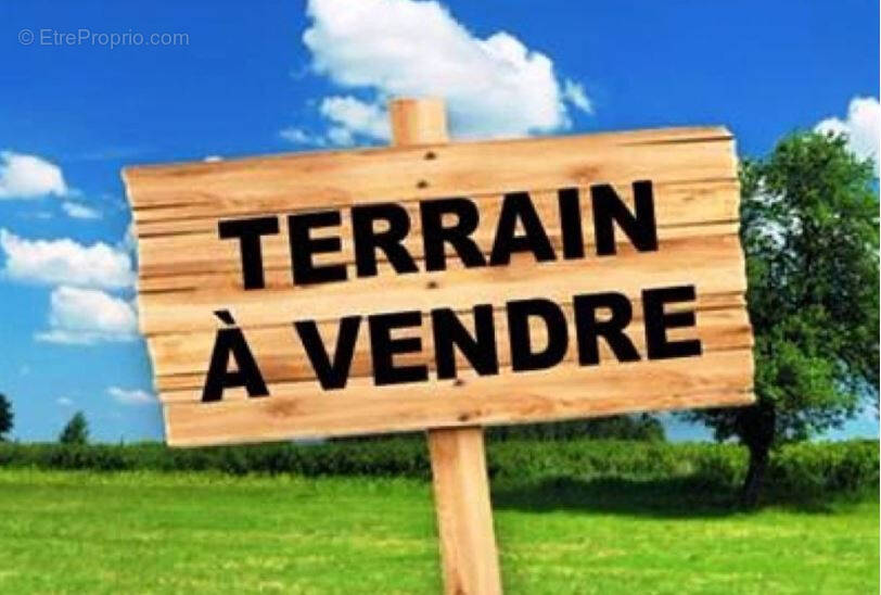 Bizerte Sud&nbsp;Bizerte Hached&nbsp;Terrain&nbsp;Terrain nu&nbsp;Une opportunit� immobili�re � bizerte
