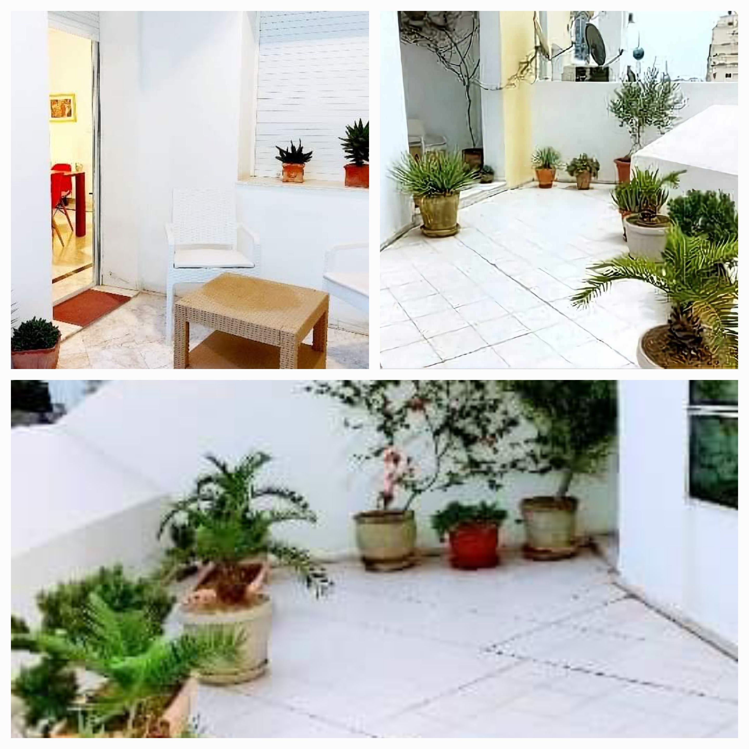 Ariana Ville&nbsp;Cite Ennasr 2&nbsp;Location&nbsp;Appart. 3 pi�ces&nbsp;Particulier l s2meubl� pour �tranger