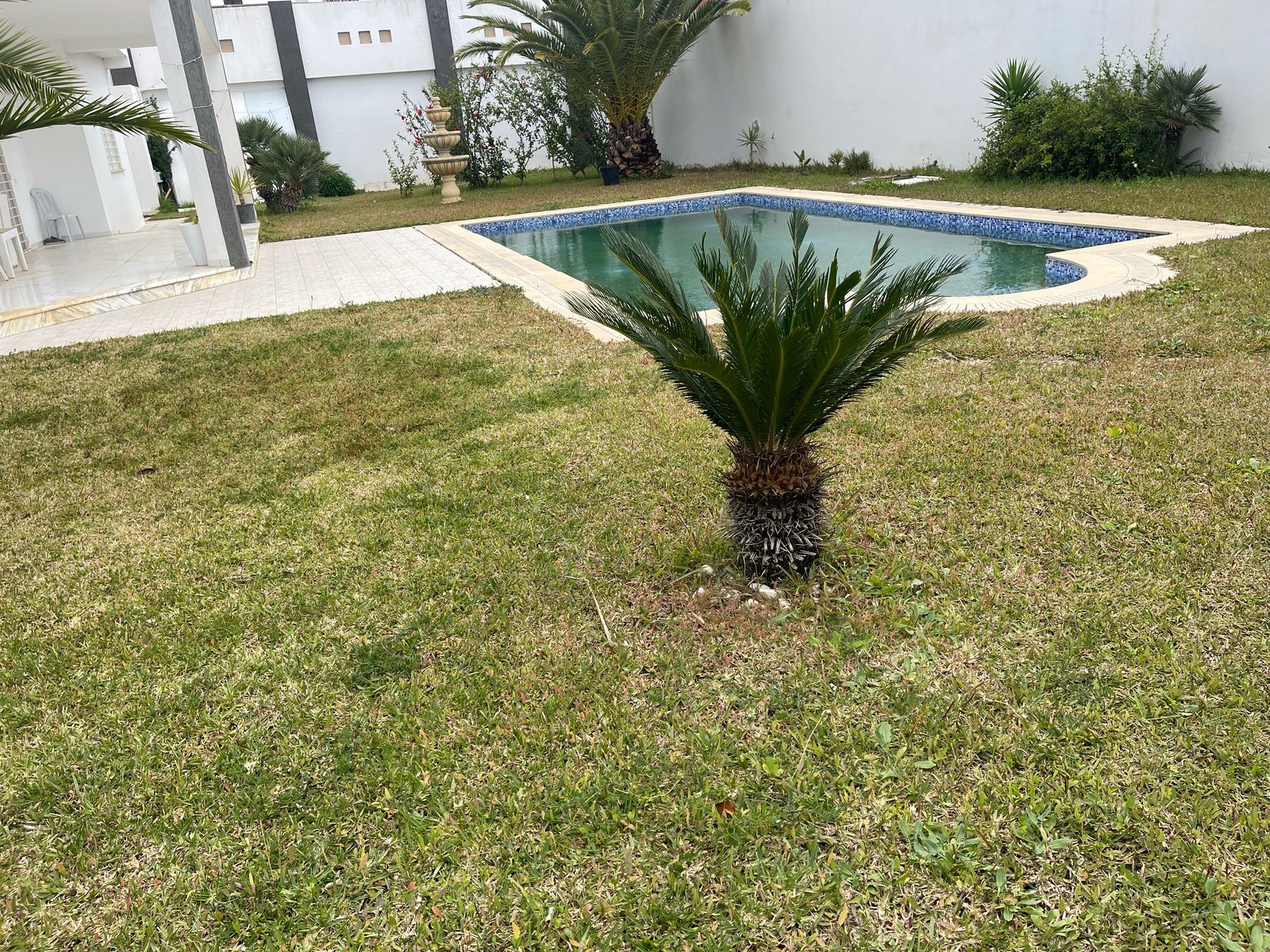 Hammamet&nbsp;Hammamet&nbsp;Vente&nbsp;Appart. 4 pi�ces&nbsp;Villa de luxe a yasmine hammamet