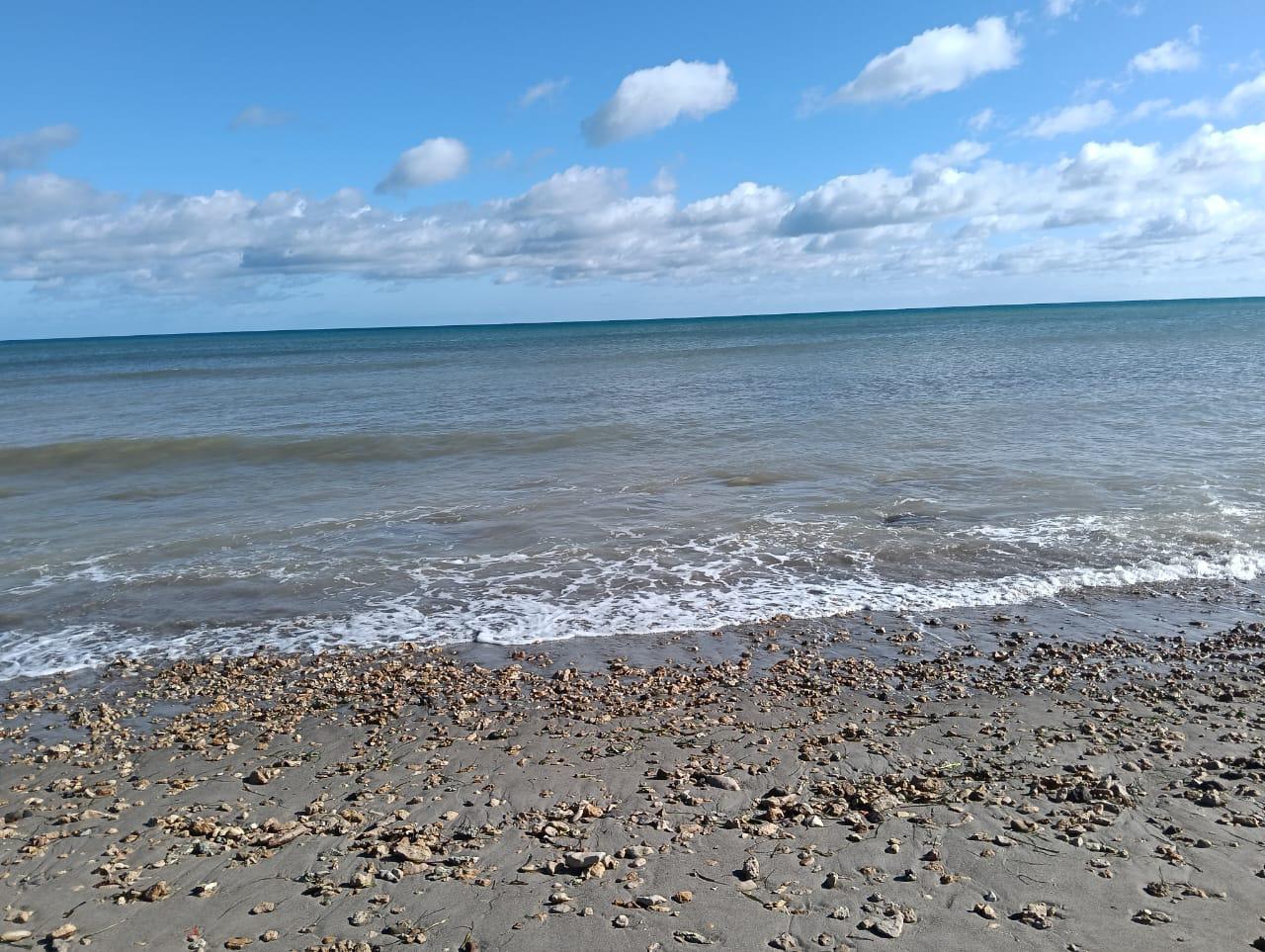 Hammam El Ghezaz&nbsp;Ezzahra&nbsp;Vente&nbsp;Autre&nbsp;R�veillezvous face � la mer � chat ezzahra