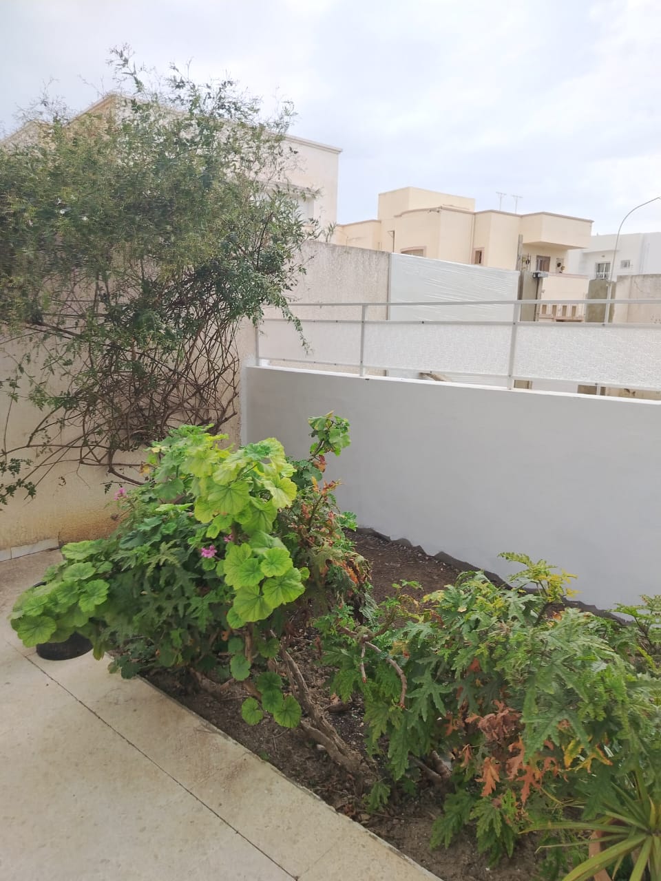 Ariana Ville&nbsp;Cite Ennasr 2&nbsp;Location&nbsp;Appart. 5 pi�ces+&nbsp;Rez de chausse d une villa