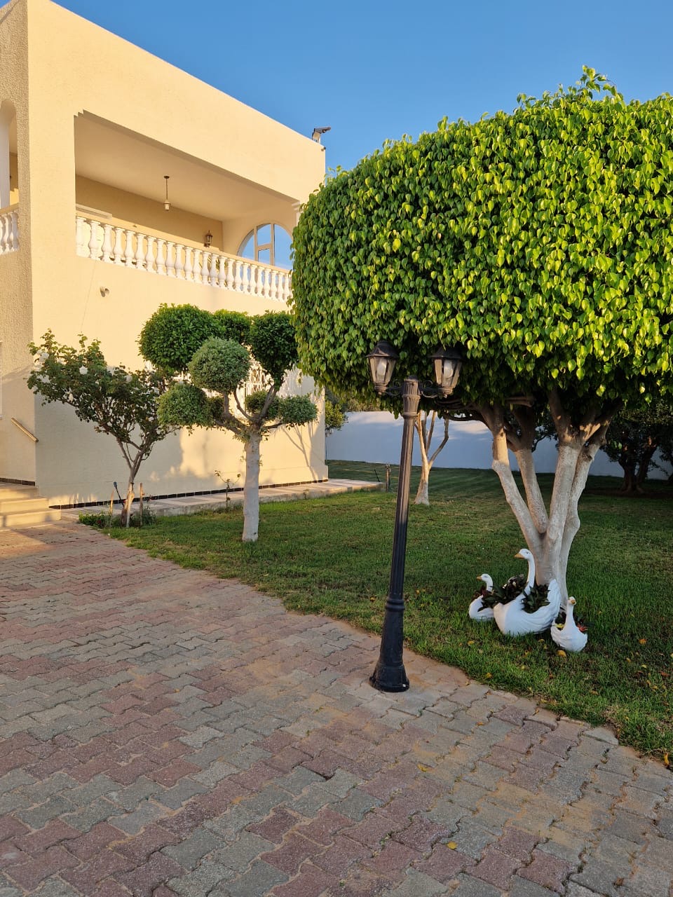 Akouda&nbsp;Chatt Meriem&nbsp;Location&nbsp;Autre&nbsp;Belle villa meubl�e avec jardinet et vue mer