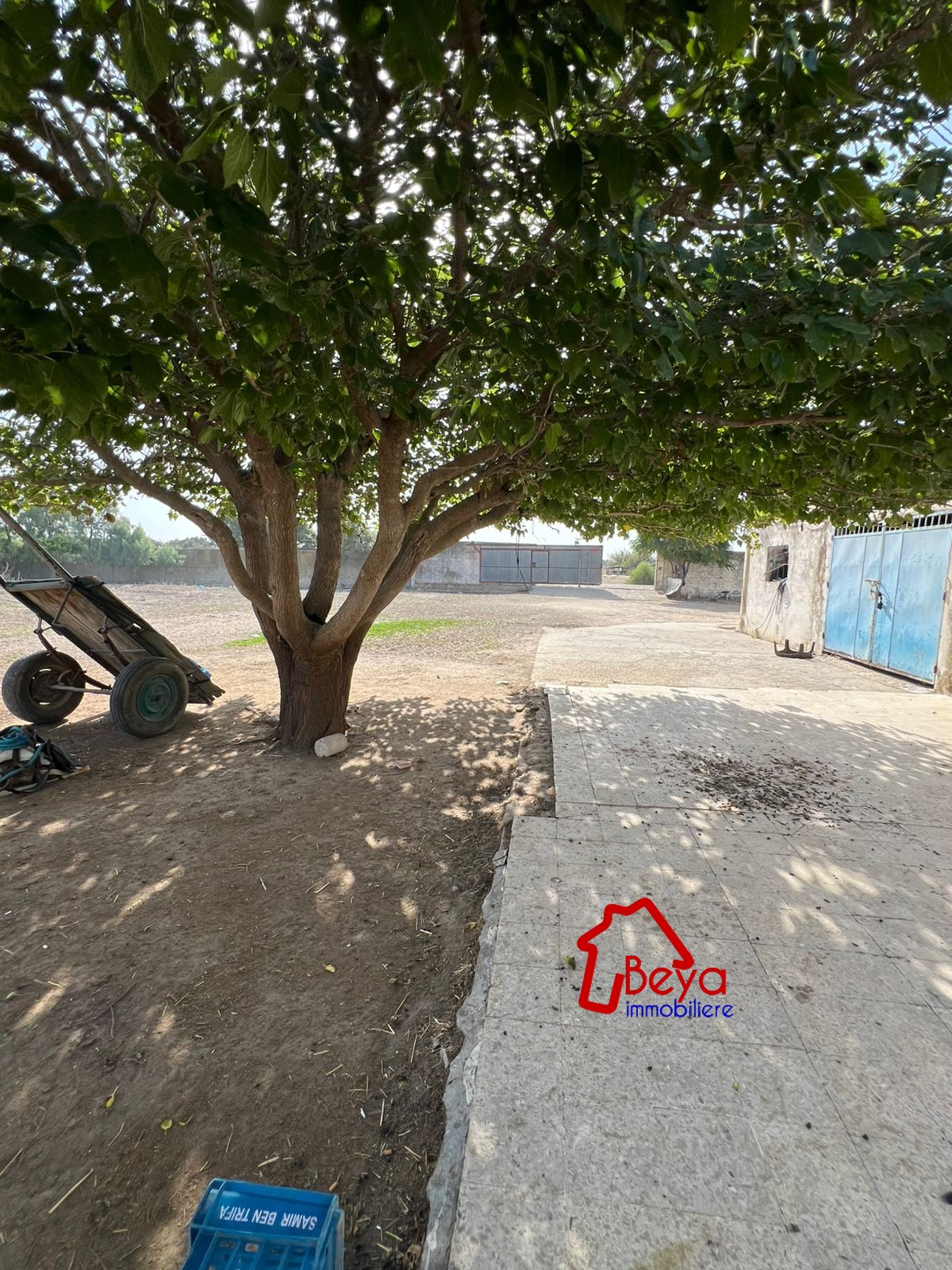 Soliman&nbsp;Bou Charray&nbsp;Terrain&nbsp;Terrain agricole&nbsp;Terrain hayfa vtm083