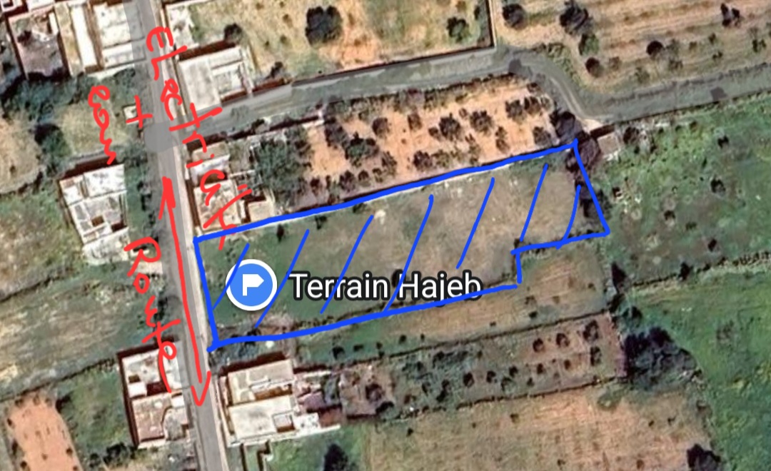 Mahdia&nbsp;Rejiche&nbsp;Terrain&nbsp;Terrain nu&nbsp;Terrain de 2 000 m2 � rejich 150 dt le m2