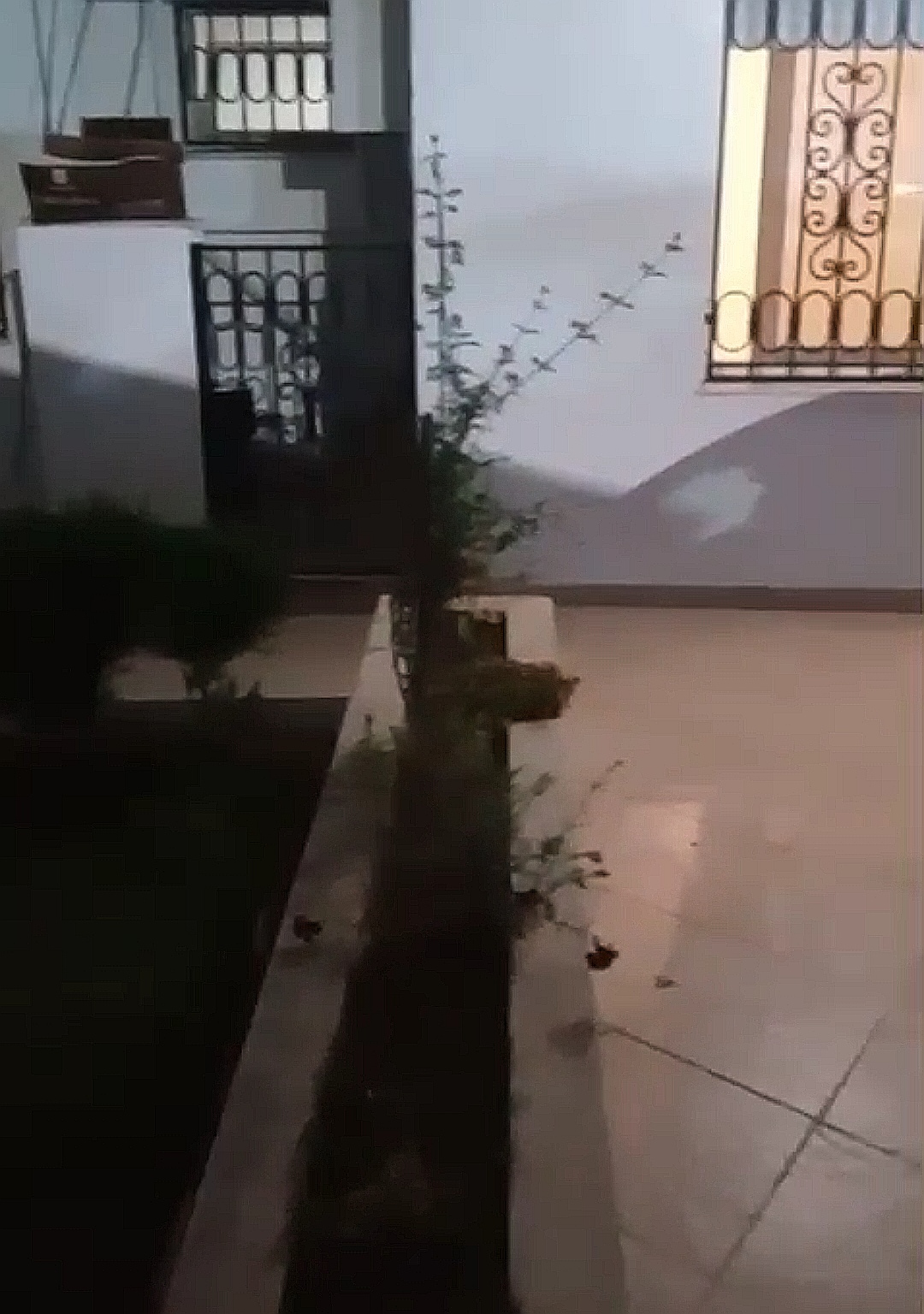 Ariana Ville&nbsp;Ariana&nbsp;Location&nbsp;Appart. 3 pi�ces&nbsp;Cit� ennasr appt s3 lux