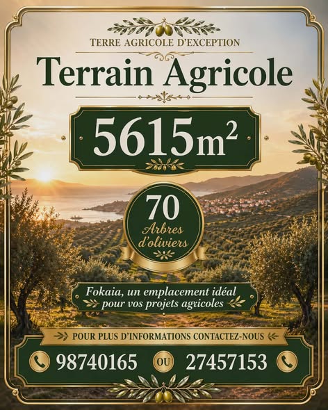 Akouda&nbsp;Chatt Meriem&nbsp;Terrain&nbsp;Terrain agricole&nbsp;Lot d'invesstisement 5615m sur l'autoroute fokaia