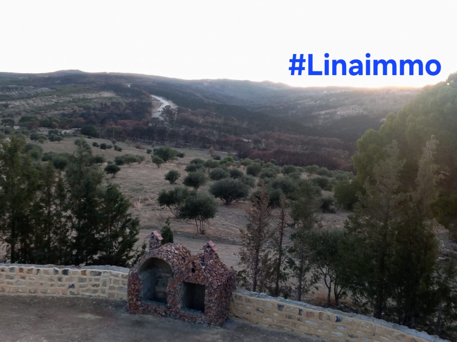 Siliana Sud&nbsp;Sidi Morched&nbsp;Terrain&nbsp;Terrain nu&nbsp;Ferme de charme en pleine nature