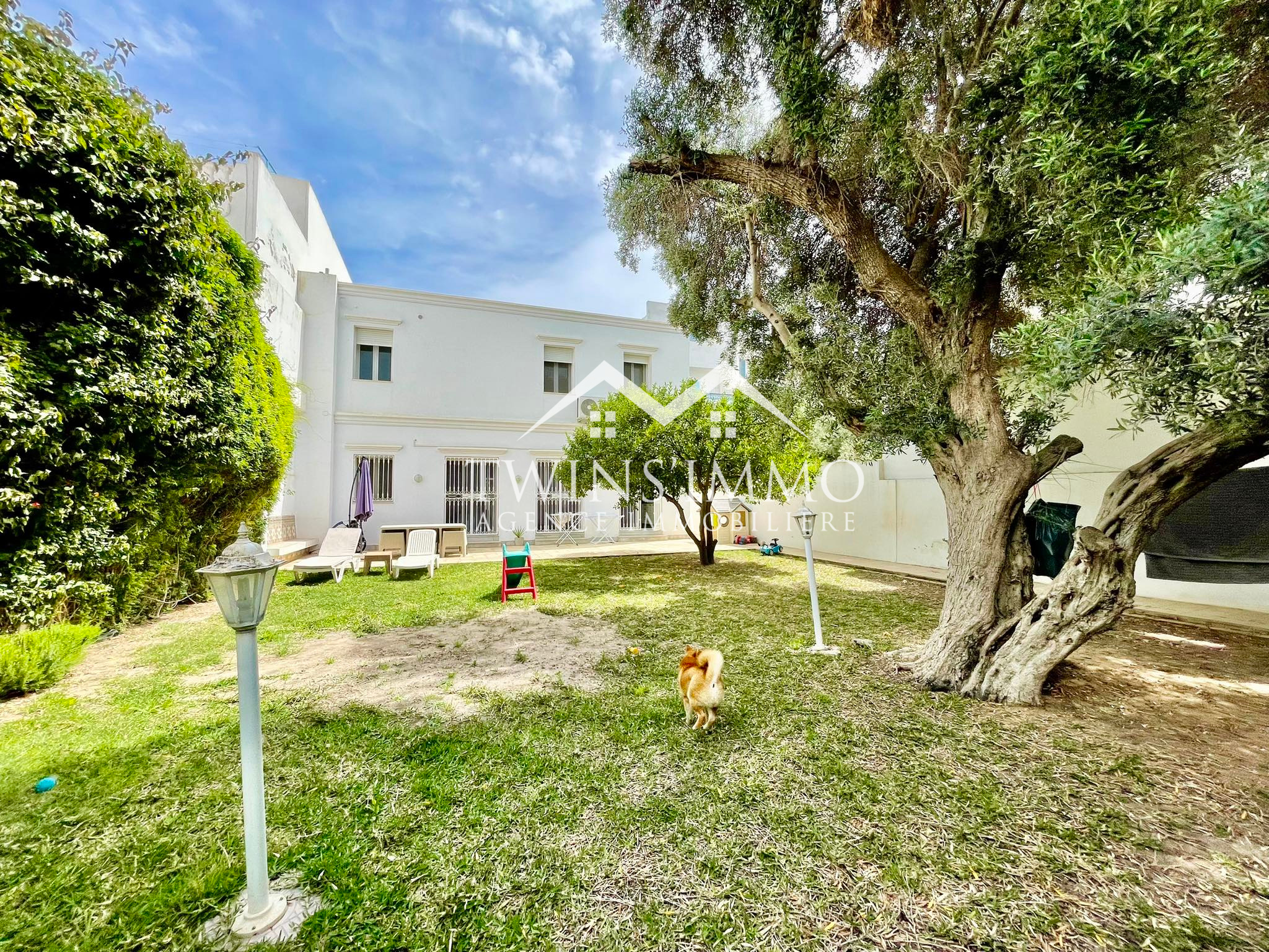 La Marsa&nbsp;Marsa Ennassim&nbsp;Location&nbsp;Maisons&nbsp;Villa s3 avec jardin � la marsa ville