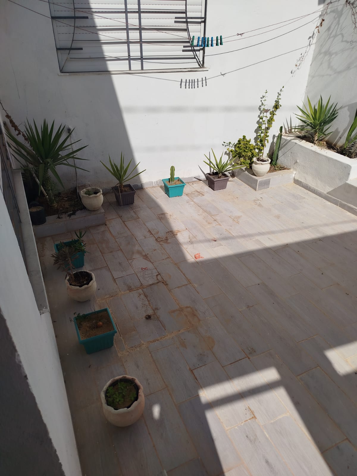 Hammamet&nbsp;Hammamet&nbsp;Location vacances&nbsp;Maisons&nbsp;S plus 2 meubl� a el mrezga wb4453