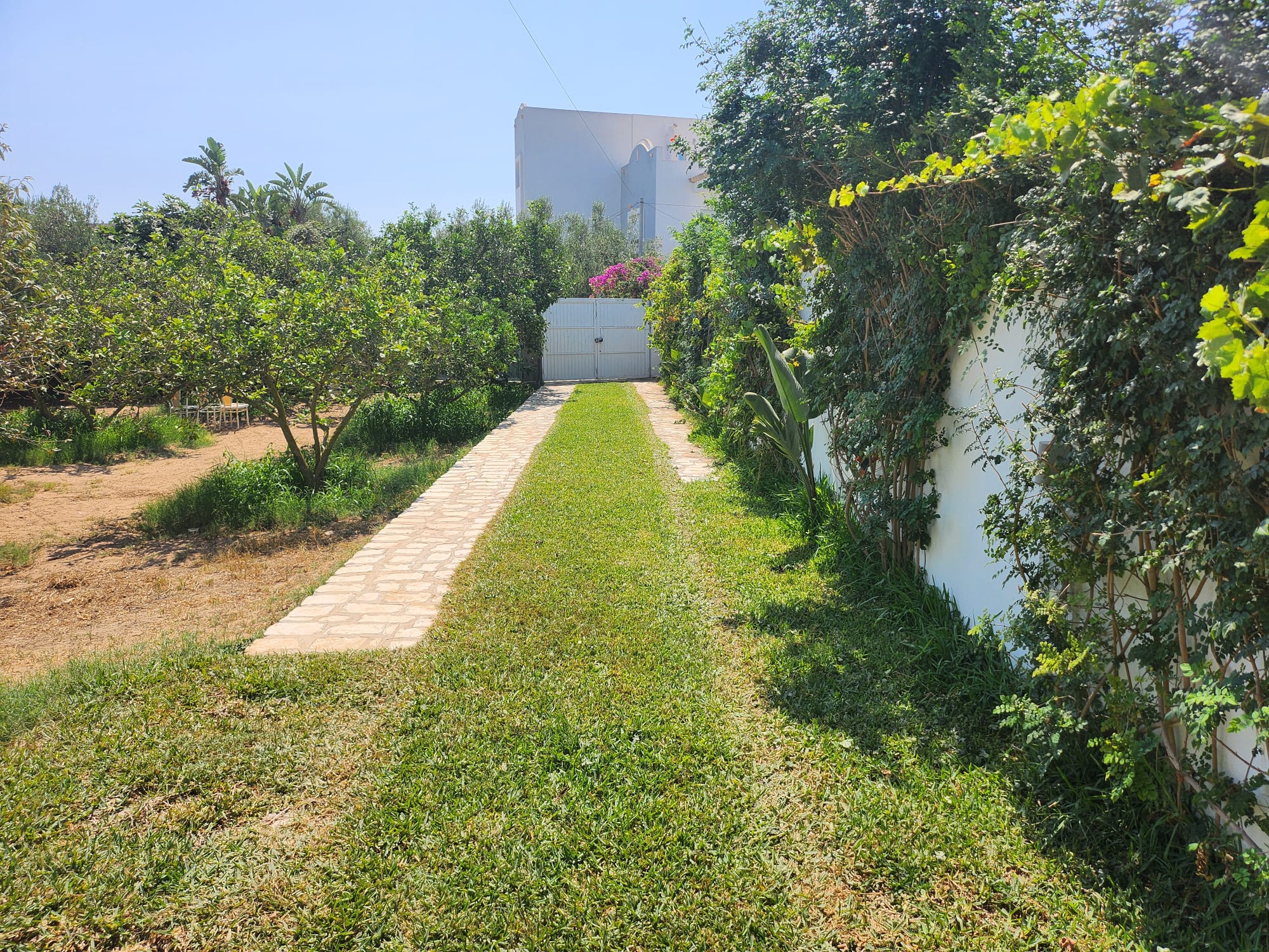 Hammamet&nbsp;Hammamet&nbsp;Location&nbsp;Appart. 4 pi�ces&nbsp;Villa alysse r�f l3263