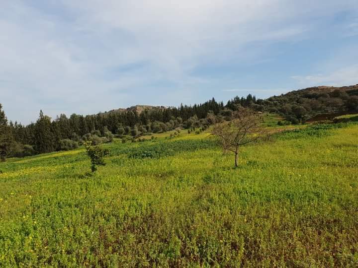Sidi Thabet&nbsp;Sidi Thabet&nbsp;Vente&nbsp;Maisons&nbsp;Grande villa � sidi thabet