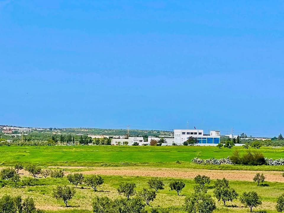 El Haouaria&nbsp;El Haouaria&nbsp;Terrain&nbsp;Terrain nu&nbsp;Terrain el  haouaria