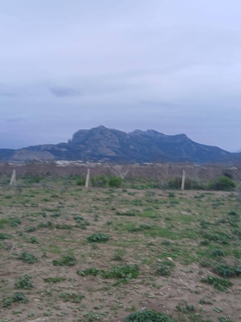 Zaghouan&nbsp;Zaghouan&nbsp;Terrain&nbsp;Terrain agricole&nbsp;Terrain agricole 5000 m avec une petite maison
