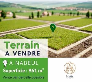 Nabeul&nbsp;Nabeul&nbsp;Vente&nbsp;Surfaces&nbsp;Terrain    nabeul ref795a