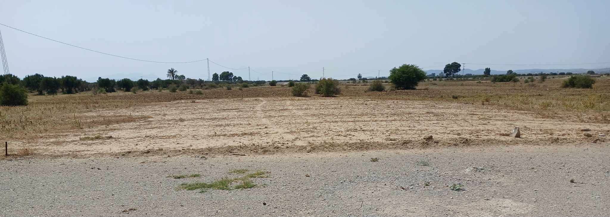 Bou Ficha&nbsp;Essalloum&nbsp;Terrain&nbsp;Terrain agricole&nbsp;Terrain 900m avec titre foncier